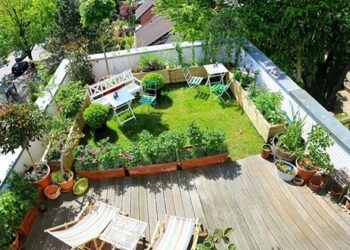 Bật mí cách trông cây sân vườn trên mái nhà cực đẹp