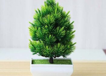 Những ý tưởng trang trí ngoại thất đẹp cho sân vườn