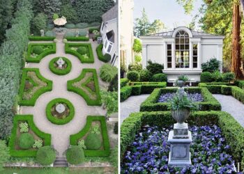 Tuyển tập các mẫu sân vườn theo từng phong cách