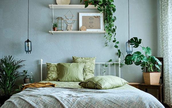  Trang trí phòng ngủ bằng cây xanh 