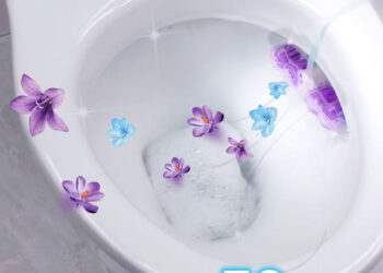 Những điều cần biết khi có ý định dùng viên treo bồn cầu